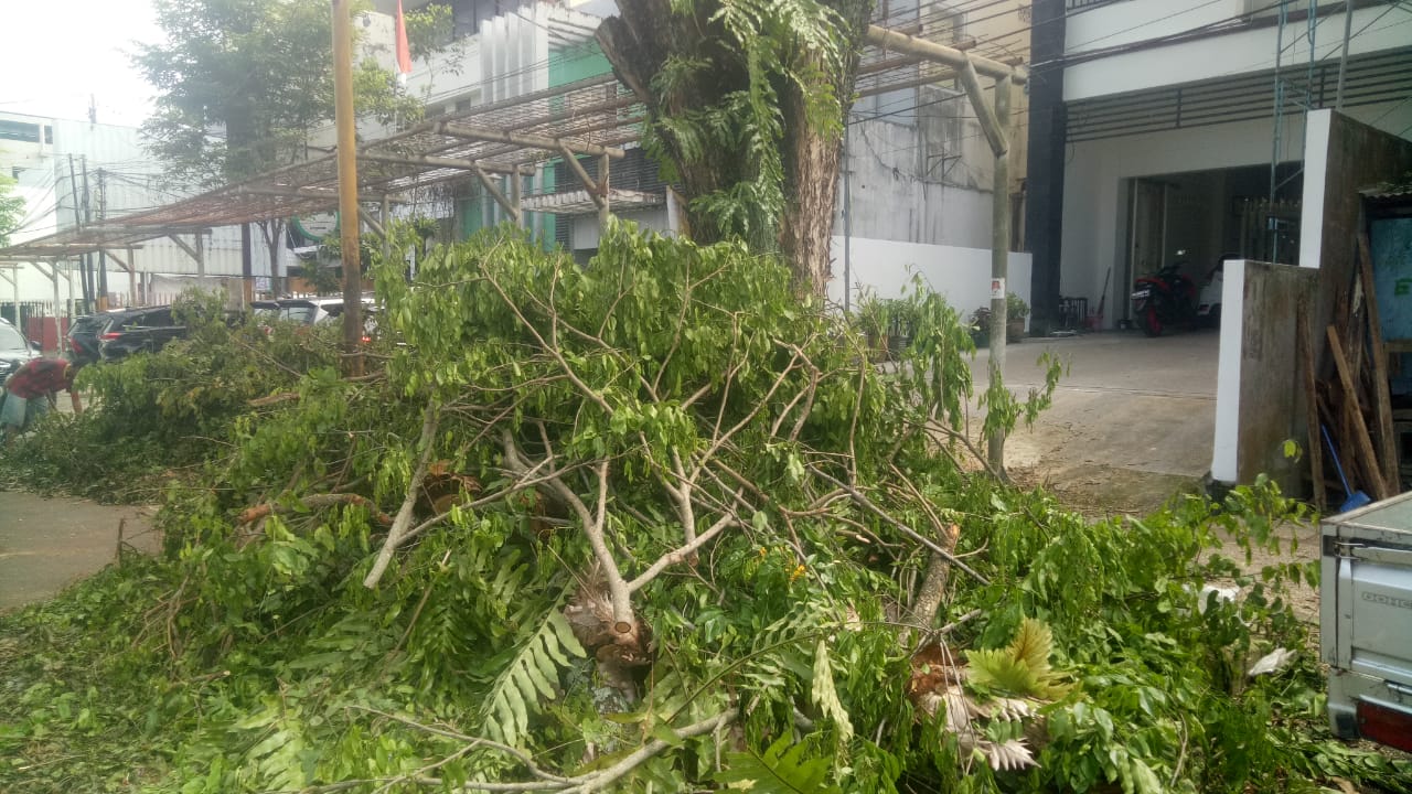 Pohon yang dipotong dan dipangkas dibiarkan di jalan dan membahayakan pengguna jalan. (Foto:Mike)