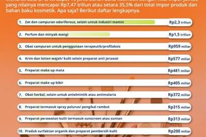 WhatsApp Image 2023-02-17 at 11.58.47 AM.jpeg