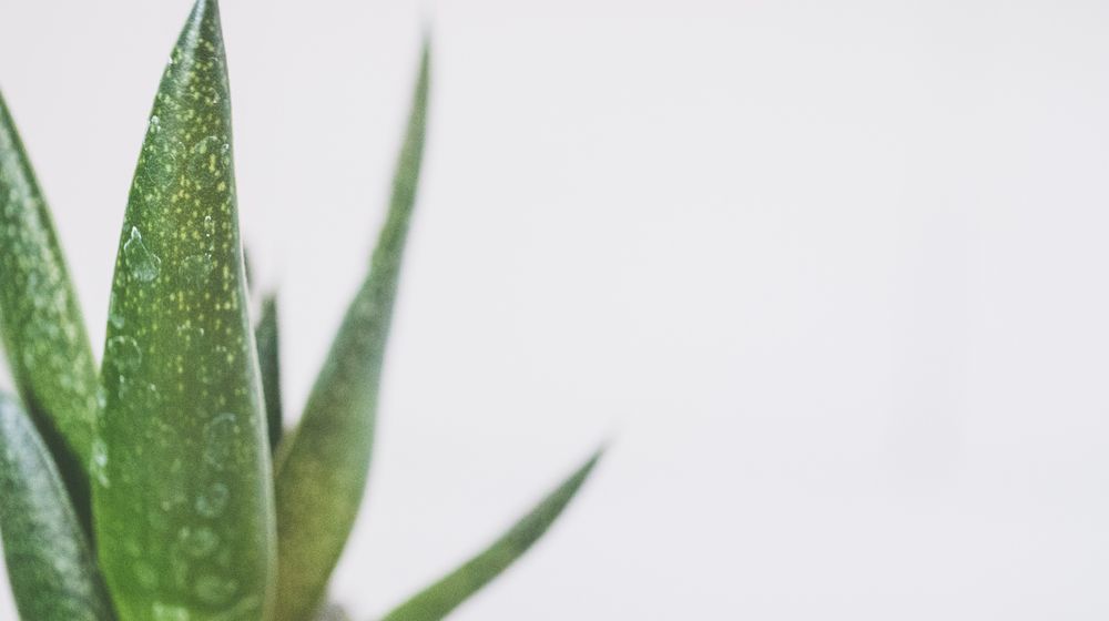 Photo by Ketut Subiyanto: https://www.pexels.com/photo/stressed-black-male-entrepreneur-working-on-laptop-in-park-4560092/