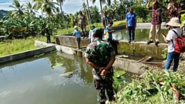 Bupati Nagekeo, Don Bosco Tinjau Budidaya Ikan yang Dikembangkan Pokdakan di Kecamatan Mauponggo