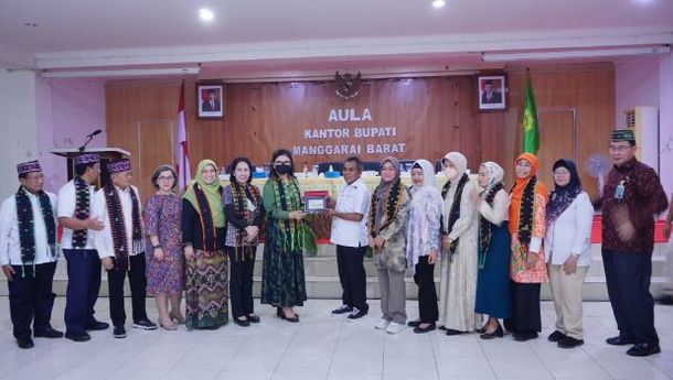 Bupati Mabar, Edi Endi Terima Kunjungan Anggota DPR RI Komisi IX