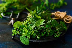 various-fresh-herbs-907728974-cc6c2be53aac46de9e6a4b47a0e630e4.jpg