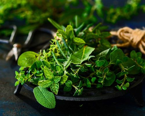 various-fresh-herbs-907728974-cc6c2be53aac46de9e6a4b47a0e630e4.jpg