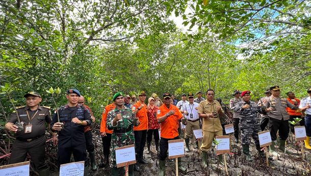 Rayakan HUT ke-51,  Basarnas Gelar Aksi Tanam 300 Bibit Mangrove di Pantai Kolisia B, Magepanda