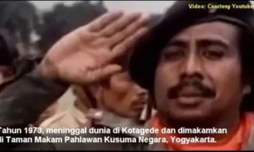 komar 2.jpg