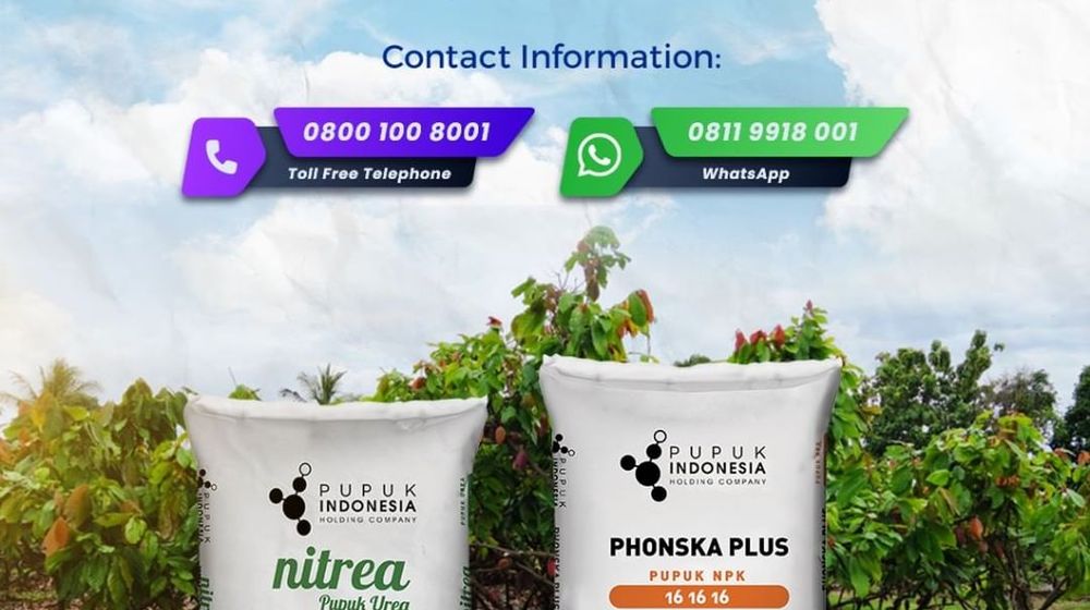 Rekomendasi pupuk urea bagus