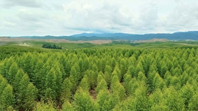 Gubenrur Kaltim Isran Noor mengusulkan perubahan kawasan hutan seluas 640 ribu hektar dalam perubahan RTRW. 