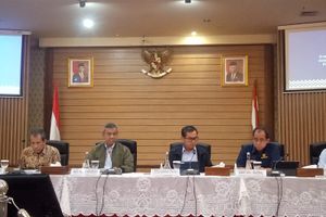 Wamenkeu Suahazil Nazar.jpeg