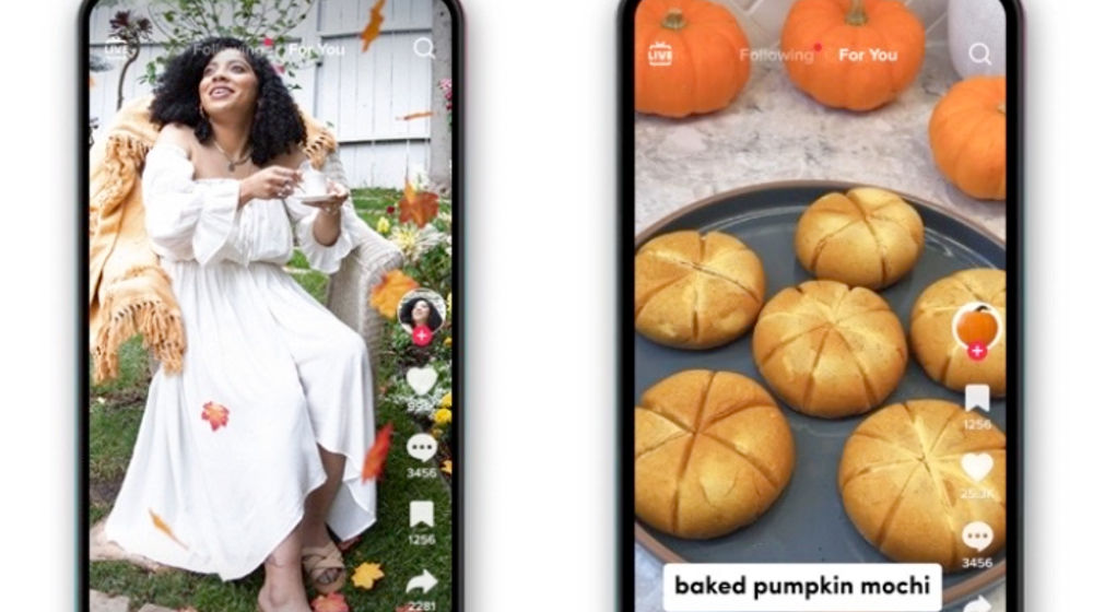 Ini 5 Negara yang Melarang Penggunaan TikTok Selain Amerika Serikat