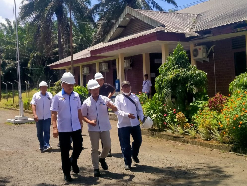 Tanaman kelapa sawit PTPN VII Unit Talopino di Kabupaten Seluma, Provinsi Bengkulu mulai pulih setelah mendapat treatmen agronomis sesuai standar beberapa tahun terakhir. 