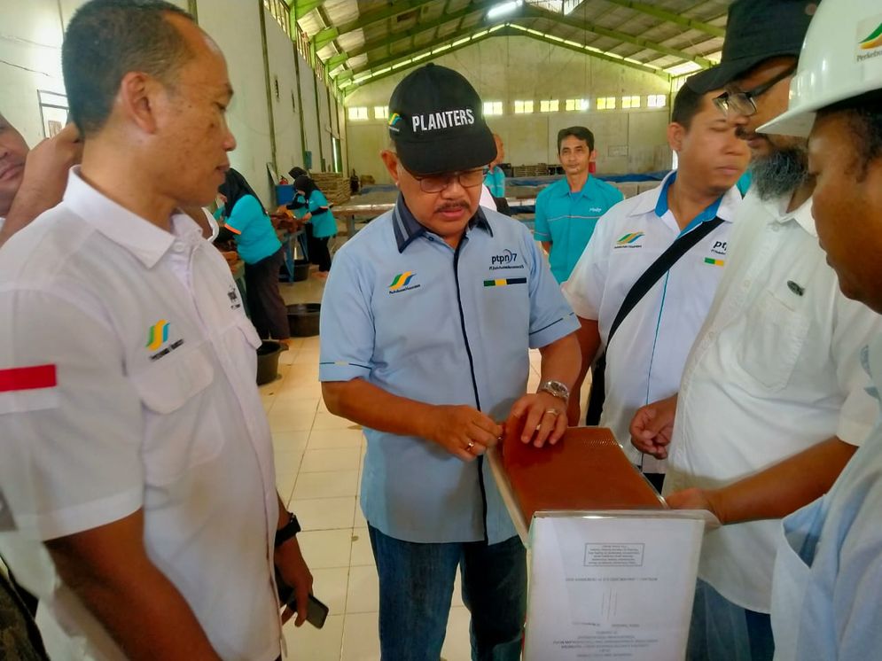 Pabrik Karet PTPN VII Unit Ketahun, Bengkulu berhasil memproduksi karet jenis RSS-1 kualitas tinggi. 