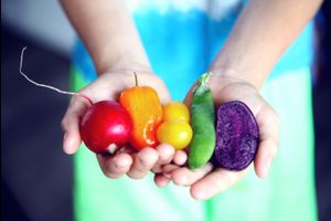 Ilustrasi Fruit buah buahan hasil panen