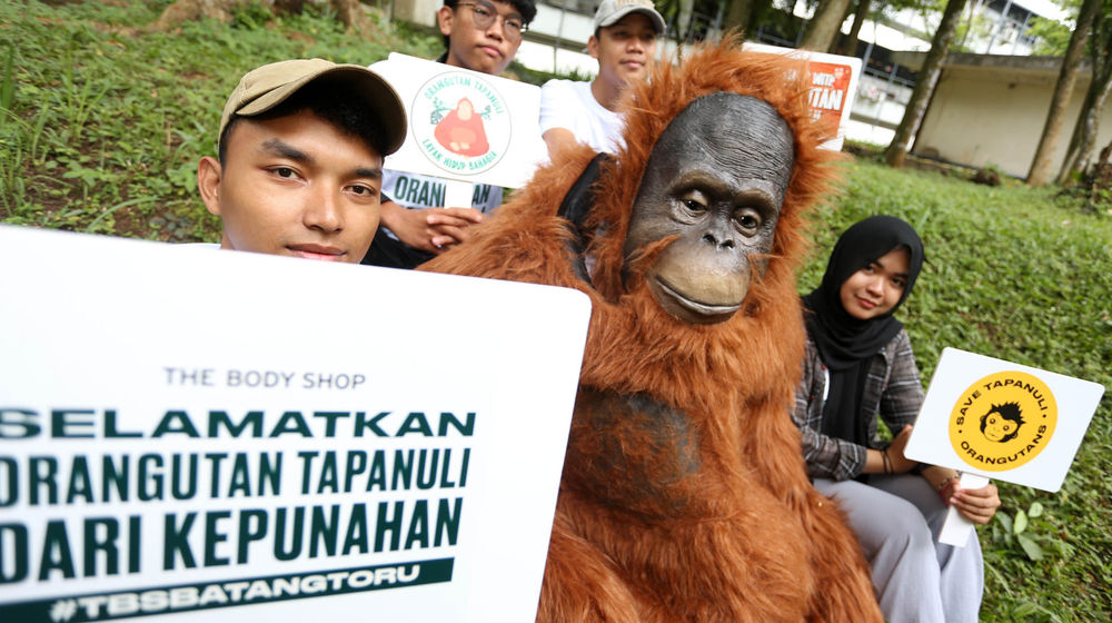 Kampanye Peduli Orang Hutan - Panji 4.jpg