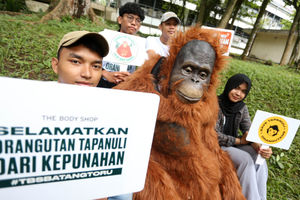Kampanye Peduli Orang Hutan - Panji 4.jpg