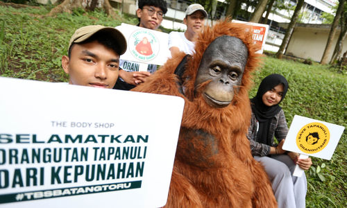 Kampanye Peduli Orang Hutan - Panji 4.jpg