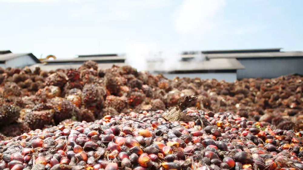 Produksi Crude Palm Oil (CPO)
