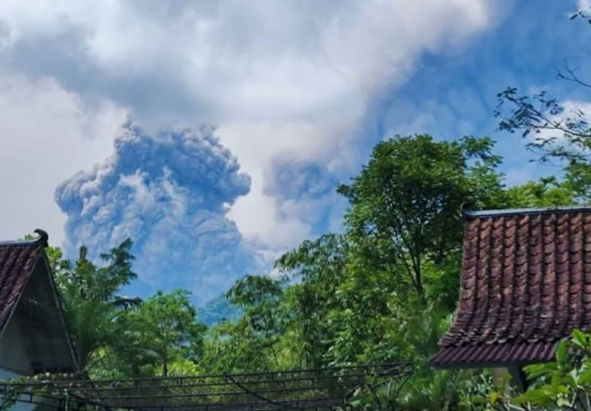 Abu vulkanik Merapi
