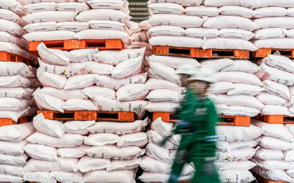 Center for Indonesian Policy Studies (CIPS) mengungkapkan pemerintah perlu mengevaluasi efektivitas program pupuk bersubsidi karena belum mampu meningkatkan produksi komoditas pangan pokok, misalnya beras