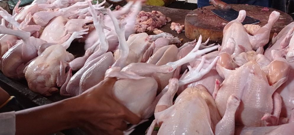 Pasar Dipadati Pembeli, Harga Ayam Potong Dijual Rp 35 Ribu/Kg