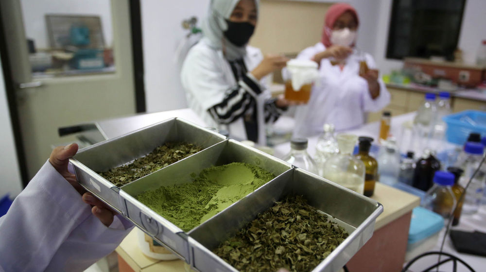 Biskuit Berbahan Daun Kelor - Panji 3.jpg