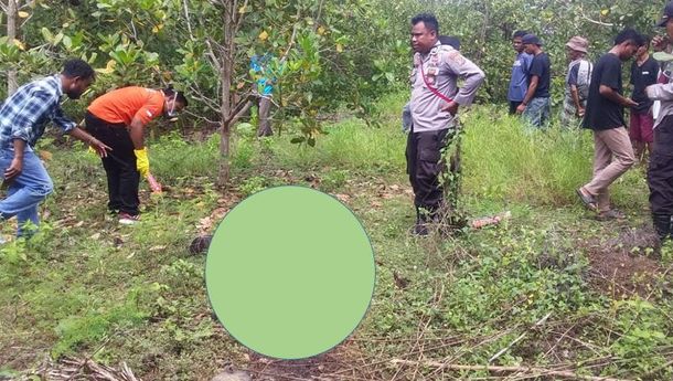 Dua Pekan Menghilang, Seorang Kakek di Talibura Ditemukan Tak Bernyawa, Jasadnya Hanya Tinggal Tengkorak
