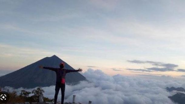 Wolobobo, Negeri di Atas Awan yang Penuh Misteri di Ngada, Flores