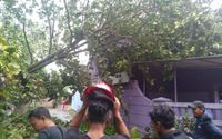 bpbd bantul.jpeg