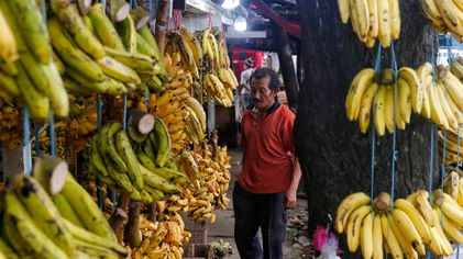 Penjualan Pisang Meningkat - Panji 6.jpg