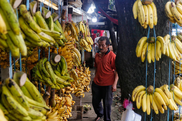 Penjualan Pisang Meningkat - Panji 6.jpg