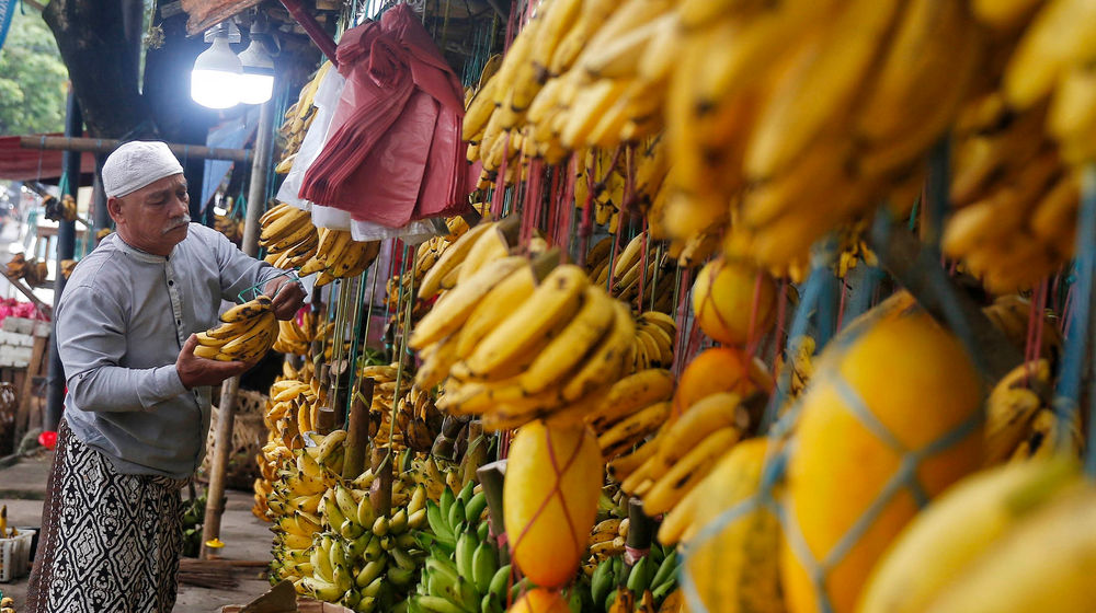 Penjualan Pisang Meningkat - Panji 2.jpg