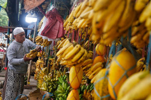 Penjualan Pisang Meningkat - Panji 2.jpg