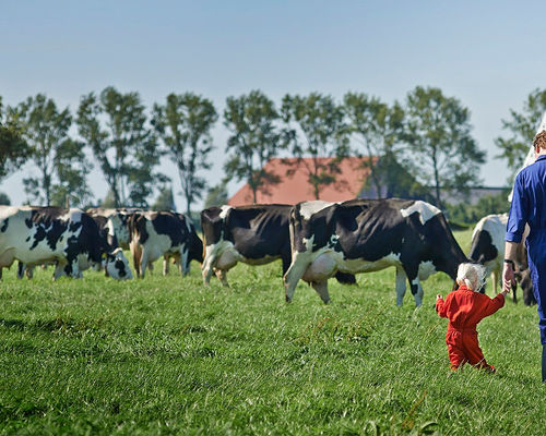 Werken-bij-Friesland-Campina-als-Director-Strategy.jpg