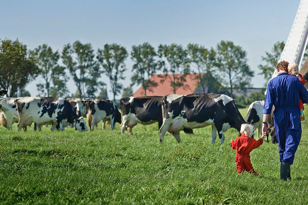 Werken-bij-Friesland-Campina-als-Director-Strategy.jpg