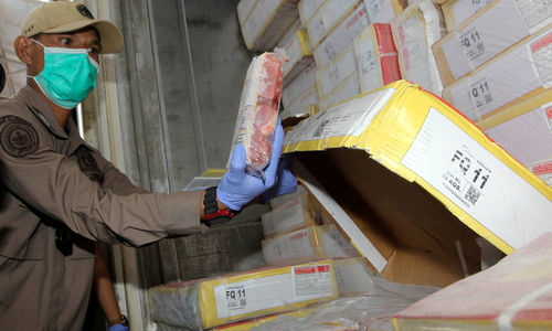 Bulog Impor Daging Kerbau - Panji 4.jpg