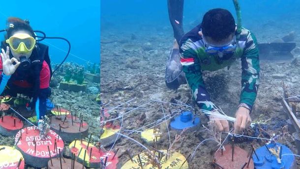 Demi Keindahan Pantai Tepi Kota Larantuka, Kelompok Pencinta Alam Tanam 1000 Terumbu Karang di Pantai Kuce