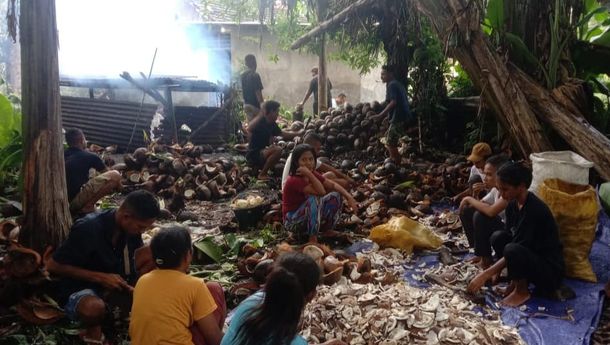 Himpun Dana untuk Biayai Kegiatan Rohani, OMK Paroki Hokeng Olah Kelapa Jadi Kopra 