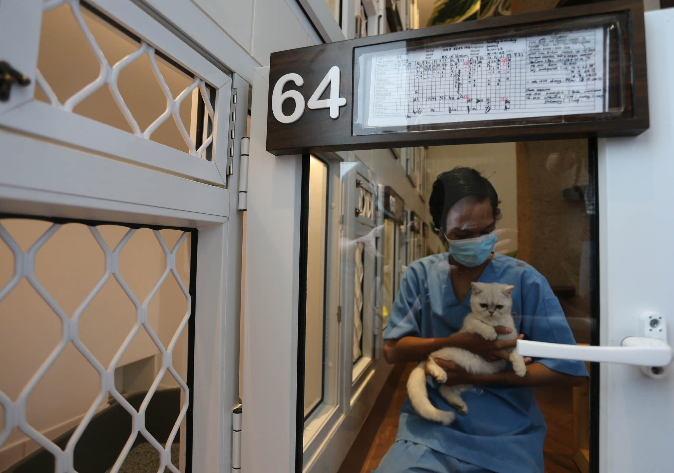 Suasana di sebuah klinik hewan sekaligus melayani jasa penitipan hewan peliharaan di kawasan Alam Sutra, Tangerang. Menjelang hari raya seperti natal atau leban seperti saat ini pesanan mereka meningkat drastis bahkan selalu full booking. Selasa 18 April 2023. Foto : Panji Asmoro/TrenAsia