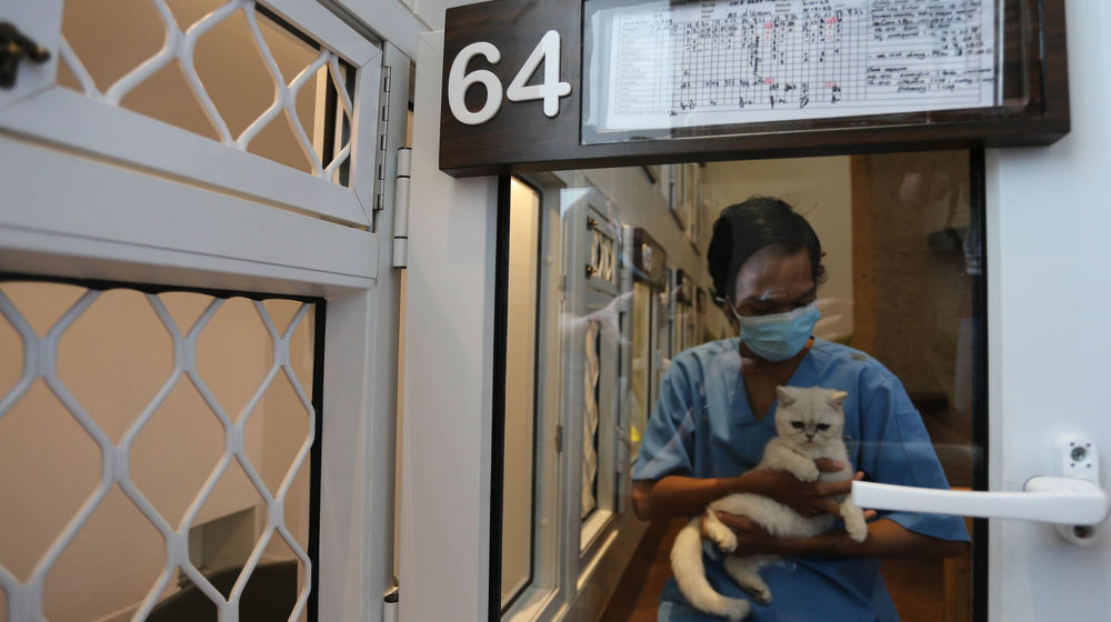 Penitipan Hewan Peliharaan - Panji 1.jpg