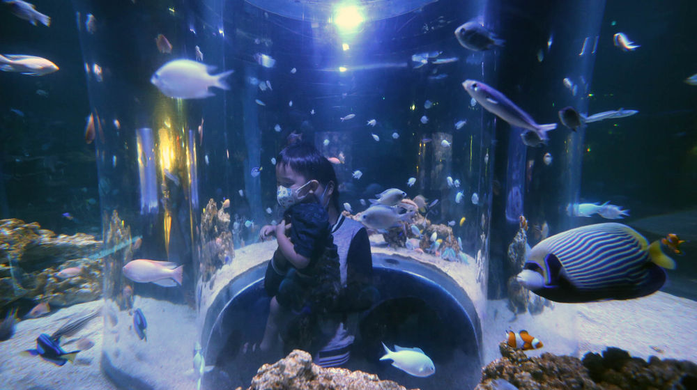 Jakarta Aquarium Pyramid - Panji 2.jpg