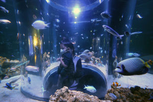 Jakarta Aquarium Pyramid - Panji 2.jpg