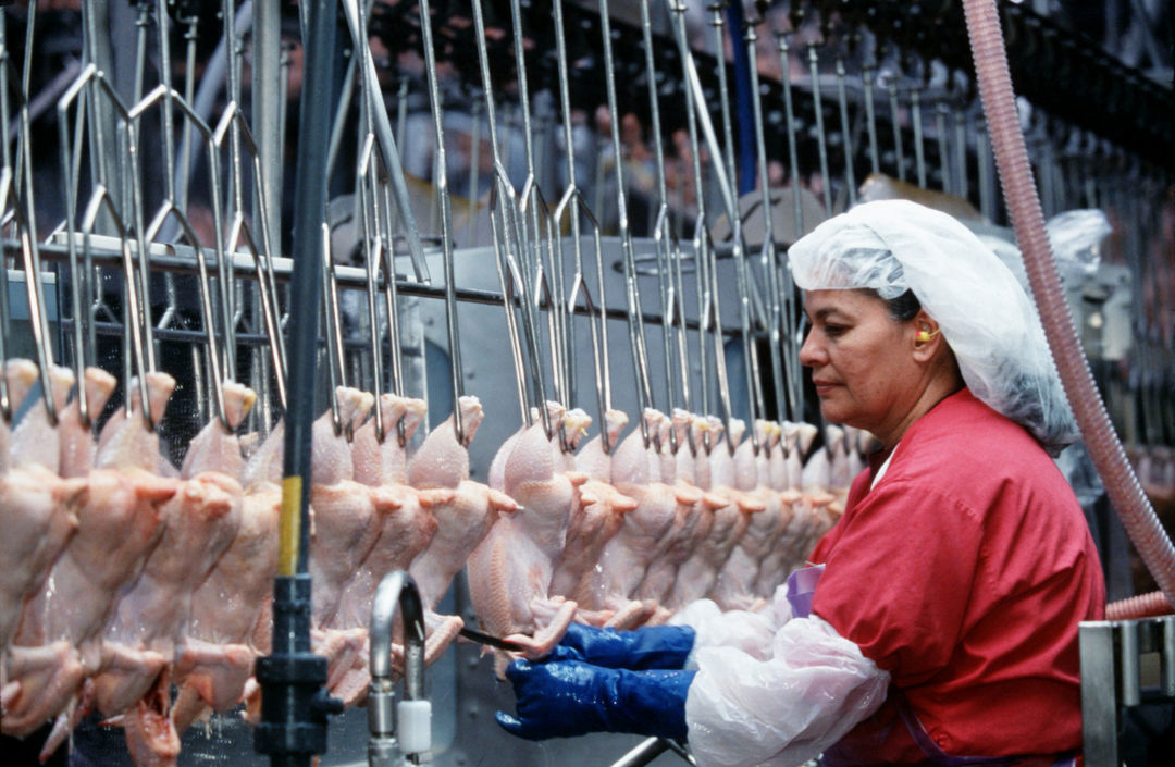 Pemrosesan daging di Tyson Foods, Amerika Serikat.