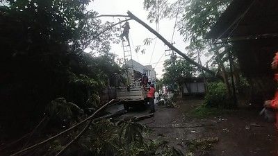 Kediri Sempat Dikepung Banjir dan Pohon Tumbang, Walikota Sampaikan Permohonan Maaf