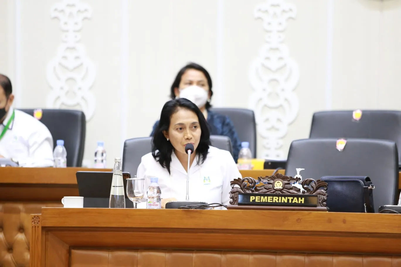Mau Rekrutmen PRT, Menteri KemenPPPA Imbau Sesuai Prosedur