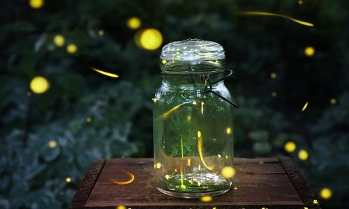 Kunang-kunang 44.jpg