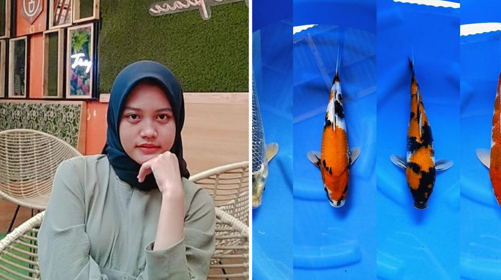 Bisnis ikan koi