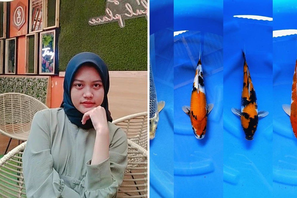 Bisnis ikan koi