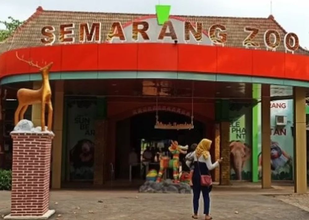 binatang semang1.jpg