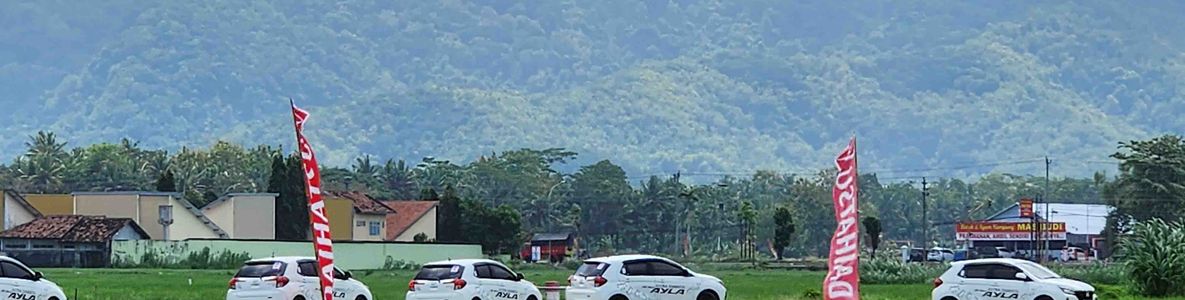 All New Astra Daihatsu Ayla menyusuri area persawahan di Kulon Progo, Jogjakarta..jpg