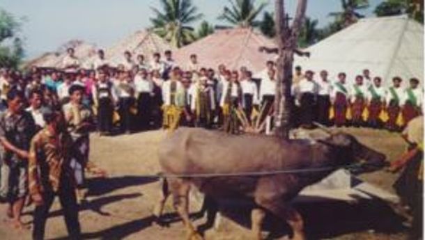 Leluhur 'Ata Nagekeo': Selain dari So'a, Ada Juga yang dari Minangkabau (1)