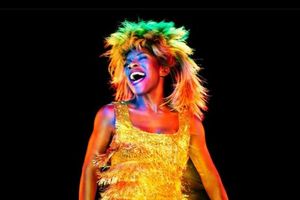 82640-tina-turner.jpg